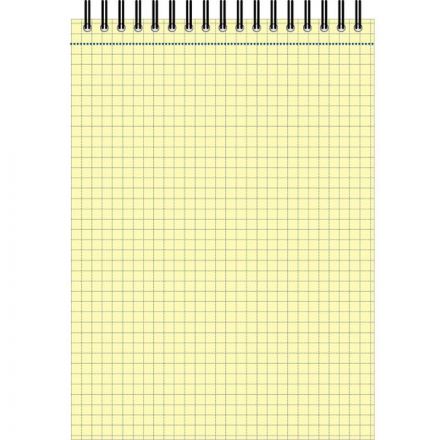 Блокнот Attache Selection А4 80 листов желтый в клетку на спирали (305х205 мм) Блокнот Attache Selection А4 80 листов желтый в клетку на спирали (305х205 мм)