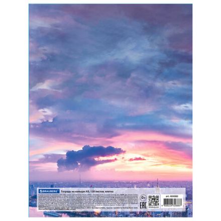 Тетрадь на кольцах А5 (175х215 мм), 120 листов, твердый картон, клетка, BRAUBERG, Travel, 404080