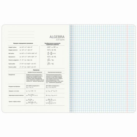 Тетради предметные, КОМПЛЕКТ 12 ПРЕДМЕТОВ, 48 л., глянцевый УФ-лак, BRAUBERG "ILLUSION", 405171