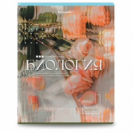 Тетради предметные, КОМПЛЕКТ 12 ПРЕДМЕТОВ, 48 л., глянцевый УФ-лак, BRAUBERG "ILLUSION", 405171