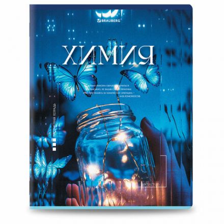 Тетради предметные, КОМПЛЕКТ 12 ПРЕДМЕТОВ, 48 л., глянцевый УФ-лак, BRAUBERG "ILLUSION", 405171