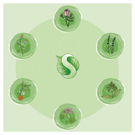 Мыло жидкое 500 мл SYNERGETIC "Луговые травы", гипоаллергенное, биоразлагаемое, дозатор, 105053 Мыло жидкое 500 мл SYNERGETIC "Луговые травы", гипоаллергенное, биоразлагаемое, дозатор, 105053