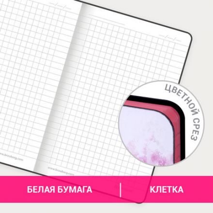 Блокнот МАЛЫЙ ФОРМАТ (100х150 мм) А6, BRAUBERG VISTA "Paris", под кожу, гибкий, 80 л., 112090 Блокнот МАЛЫЙ ФОРМАТ (100х150 мм) А6, BRAUBERG VISTA "Paris", под кожу, гибкий, 80 л., 112090