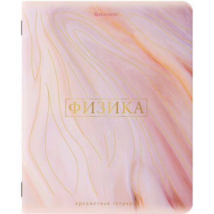 Тетради предметные со справочным материалом, КОМПЛЕКТ 10 ПРЕДМЕТОВ, 48 л., SoftTouch, фольга, BRAUBERG, "PASTEL", 404031