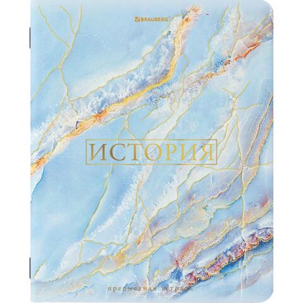 Тетради предметные со справочным материалом, КОМПЛЕКТ 10 ПРЕДМЕТОВ, 48 л., SoftTouch, фольга, BRAUBERG, "PASTEL", 404031