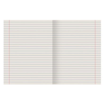 Тетрадь ЗЕЛЁНАЯ обложка 12 л., линия с полями, офсет №2 ЭКОНОМ, "ПИФАГОР", 104985