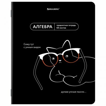 Тетради предметные, КОМПЛЕКТ 12 ПРЕДМЕТОВ, 48 л., TWIN лак, BRAUBERG "МЕМЫ", 405172