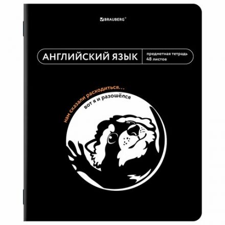 Тетради предметные, КОМПЛЕКТ 12 ПРЕДМЕТОВ, 48 л., TWIN лак, BRAUBERG "МЕМЫ", 405172