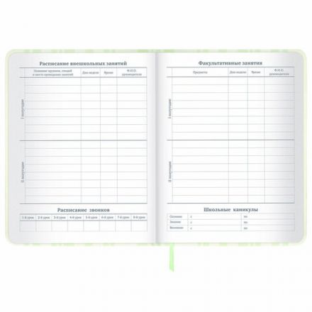 Дневник 1-11 класс 48 л., кожзам (твердая с поролоном), печать, наклейки, BRAUBERG, "Relax", 106190