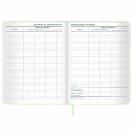 Дневник 1-11 класс 48 л., кожзам (твердая с поролоном), печать, наклейки, BRAUBERG, "Relax", 106190