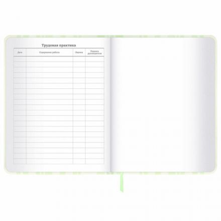 Дневник 1-11 класс 48 л., кожзам (твердая с поролоном), печать, наклейки, BRAUBERG, "Relax", 106190