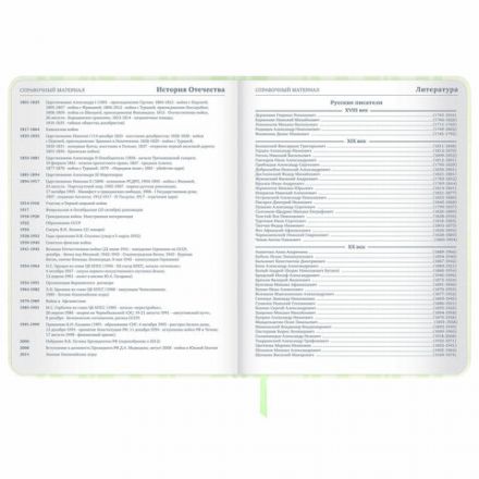 Дневник 1-11 класс 48 л., кожзам (твердая с поролоном), печать, наклейки, BRAUBERG, "Relax", 106190