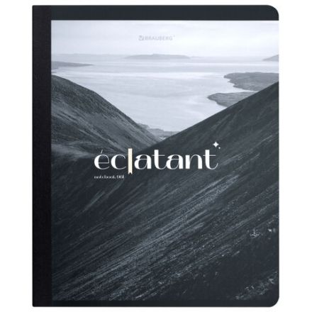 Тетрадь А5 96 л. BRAUBERG, на сшивке с корешком, клетка, обложка картон, "Simplicity", 405288