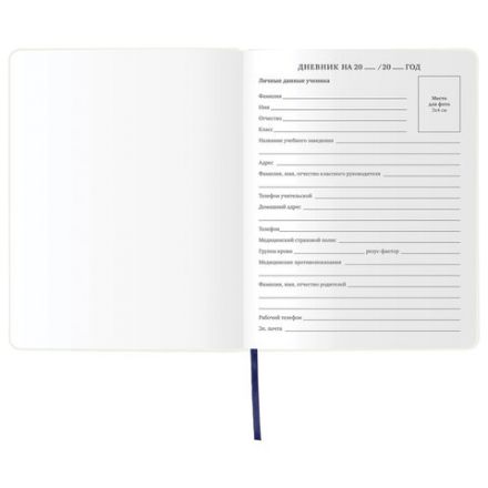 Дневник 1-11 класс 48 л., кожзам (гибкая), термотиснение, фольга, BRAUBERG, "МЕДВЕДЬ", 105969