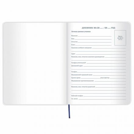 Дневник 1-11 класс 48 л., кожзам (гибкая), термотиснение, фольга, BRAUBERG, "МЕДВЕДЬ", 105969