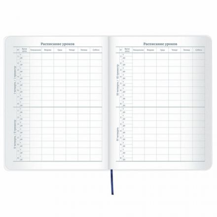 Дневник 1-11 класс 48 л., кожзам (гибкая), термотиснение, фольга, BRAUBERG, "МЕДВЕДЬ", 105969