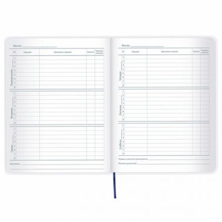 Дневник 1-11 класс 48 л., кожзам (гибкая), термотиснение, фольга, BRAUBERG, "МЕДВЕДЬ", 105969