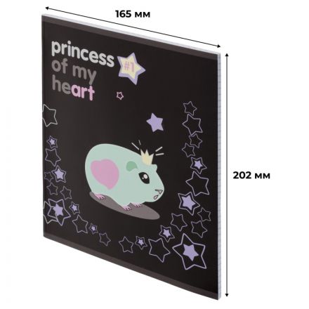Тетрадь общая А5 48л №1School Princess,клет,скреп, ВД-лак
