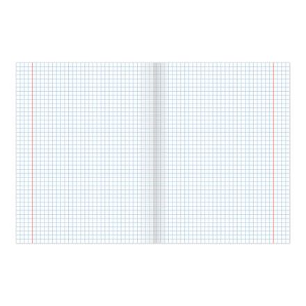 Тетрадь ВЕЛИКИЕ ИМЕНА. Ломоносов М.В., 12 л. клетка, плотная бумага 80 г/м2, обложка тонированный офсет, BRAUBERG, 105712