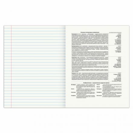 Тетрадь предметная "SPORT CLUB" 48 л., обложка картон, ЛИТЕРАТУРА, линия, подсказ, BRAUBERG, 404802 Тетрадь предметная "SPORT CLUB" 48 л., обложка картон, ЛИТЕРАТУРА, линия, подсказ, BRAUBERG, 404802