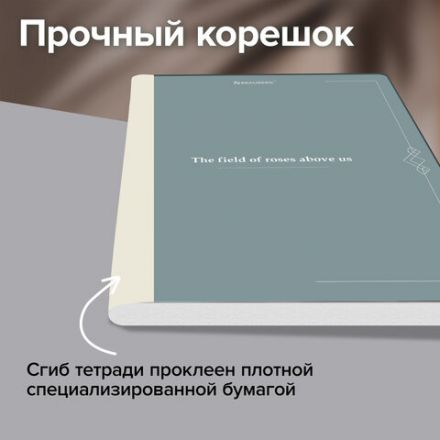 Тетрадь А5 96 л. BRAUBERG, на сшивке с корешком, клетка, обложка картон, "Vintage", 405290