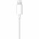 Наушники Apple EarPods с разъёмом Lightning (MWTY3)