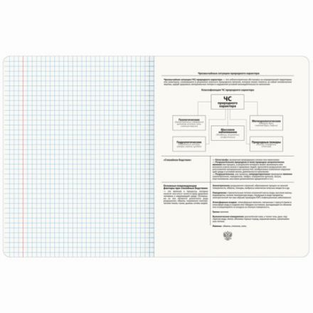 Тетрадь предметная КЛАССИКА ПРИРОДА 48 л, обложка картон, ОБиЗР, клетка, подсказ, BRAUBERG, 405094