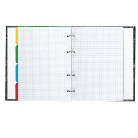 Тетрадь на кольцах А5 (175х215 мм), 240 листов, твердый картон, клетка, с разделителями, BRAUBERG, Листья, 404099 Тетрадь на кольцах А5 (175х215 мм), 240 листов, твердый картон, клетка, с разделителями, BRAUBERG, Листья, 404099