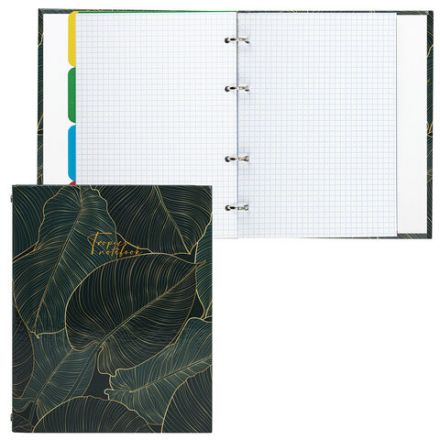 Тетрадь на кольцах А5 (175х215 мм), 240 листов, твердый картон, клетка, с разделителями, BRAUBERG, Листья, 404099 Тетрадь на кольцах А5 (175х215 мм), 240 листов, твердый картон, клетка, с разделителями, BRAUBERG, Листья, 404099