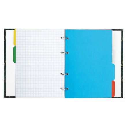 Тетрадь на кольцах А5 (175х215 мм), 240 листов, твердый картон, клетка, с разделителями, BRAUBERG, Листья, 404099 Тетрадь на кольцах А5 (175х215 мм), 240 листов, твердый картон, клетка, с разделителями, BRAUBERG, Листья, 404099