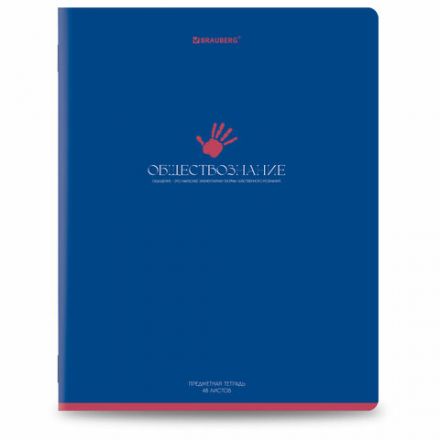 Тетради предметные, КОМПЛЕКТ 13 ПРЕДМЕТОВ, 48 л., матовая ламинация, BRAUBERG "MONOCOLOR", 405175