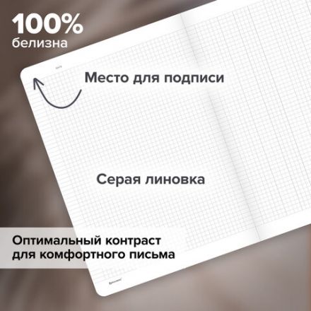 Тетрадь А5 96 л. BRAUBERG, на сшивке с корешком, клетка, обложка картон, "Classic", 405291