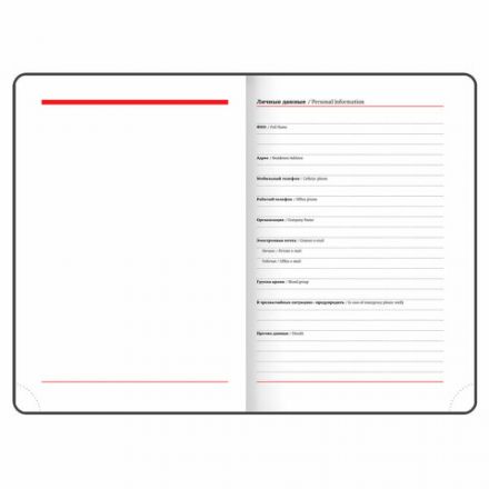 Ежедневник недатированный А5 (138х213 мм), BRAUBERG VISTA, под кожу, гибкий, 136 л., "Euphoria", 111998 Ежедневник недатированный А5 (138х213 мм), BRAUBERG VISTA, под кожу, гибкий, 136 л., "Euphoria", 111998