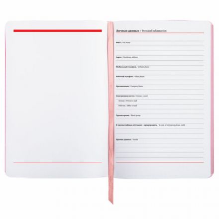 Ежедневник недатированный А5 (138х213 мм), BRAUBERG VISTA, под кожу, гибкий, 136 л., "Euphoria", 111998 Ежедневник недатированный А5 (138х213 мм), BRAUBERG VISTA, под кожу, гибкий, 136 л., "Euphoria", 111998