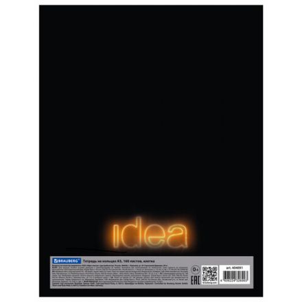 Тетрадь на кольцах А5 (175х215 мм), 160 листов, твердый картон, клетка, BRAUBERG, Idea, 404091