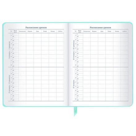 Дневник 1-11 класс 48 л., кожзам SoftTouch (твердая с поролоном), фольга, BRAUBERG, "Leopard", 106576