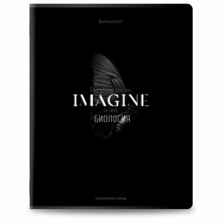 Тетради предметные, КОМПЛЕКТ 12 ПРЕДМЕТОВ, 48 л., матовая ламинация, BRAUBERG "SHADOWS", 405176