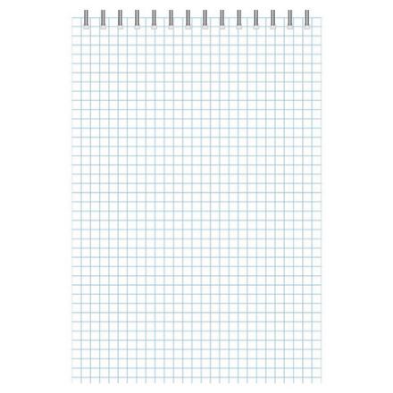 Блокнот А5, 40 л., гребень, ламинированный картон, клетка, Альт, "Города", (5 видов), 3-40-463 Блокнот А5, 40 л., гребень, ламинированный картон, клетка, Альт, "Города", (5 видов), 3-40-463