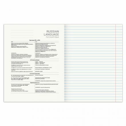 Тетрадь предметная "SPORT CLUB" 48 л., обложка картон, РУССКИЙ ЯЗЫК, линия, подсказ, BRAUBERG, 404803 Тетрадь предметная "SPORT CLUB" 48 л., обложка картон, РУССКИЙ ЯЗЫК, линия, подсказ, BRAUBERG, 404803