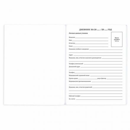 Дневник 1-11 класс 40 л., на скобе, ПИФАГОР, обложка картон, "Футбол", 106817