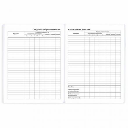 Дневник 1-11 класс 40 л., на скобе, ПИФАГОР, обложка картон, "Футбол", 106817