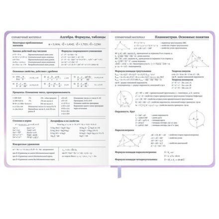 Дневник 1-11 класс 48 л., обложка кожзам (твердая с поролон), 3D-элемент, BRAUBERG, "Суровый кот", 107221