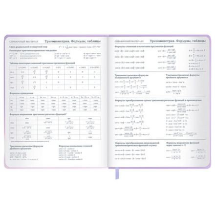 Дневник 1-11 класс 48 л., обложка кожзам (твердая с поролон), 3D-элемент, BRAUBERG, "Суровый кот", 107221