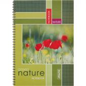 Тетрадь общая Attache A4 60 листов в клетку на спирали