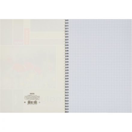 Тетрадь общая Attache A4 60 листов в клетку на спирали
