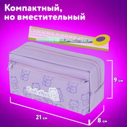 Пенал ЮНЛАНДИЯ ЮНИОР, 2 отделения, "Cool vibes", 21х9х8 см, 273821