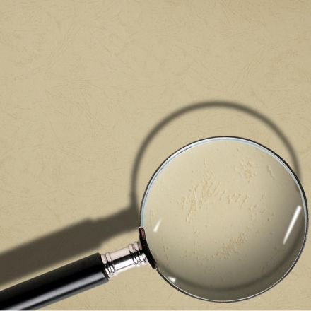 Обложки для переплета картонные Promega office А4 230 г/кв.м черные текстура кожа (100 штук в упаковке) Обложки для переплета картонные Promega office А4 230 г/кв.м черные текстура кожа (100 штук в упаковке)