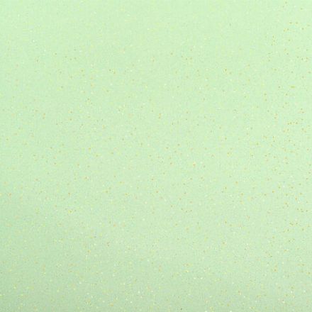 Тетрадь на кольцах А5 175х220 мм, 120 л., пластик с блестками, с резинкой и разделителями, BRAUBERG, Зеленый, 404632